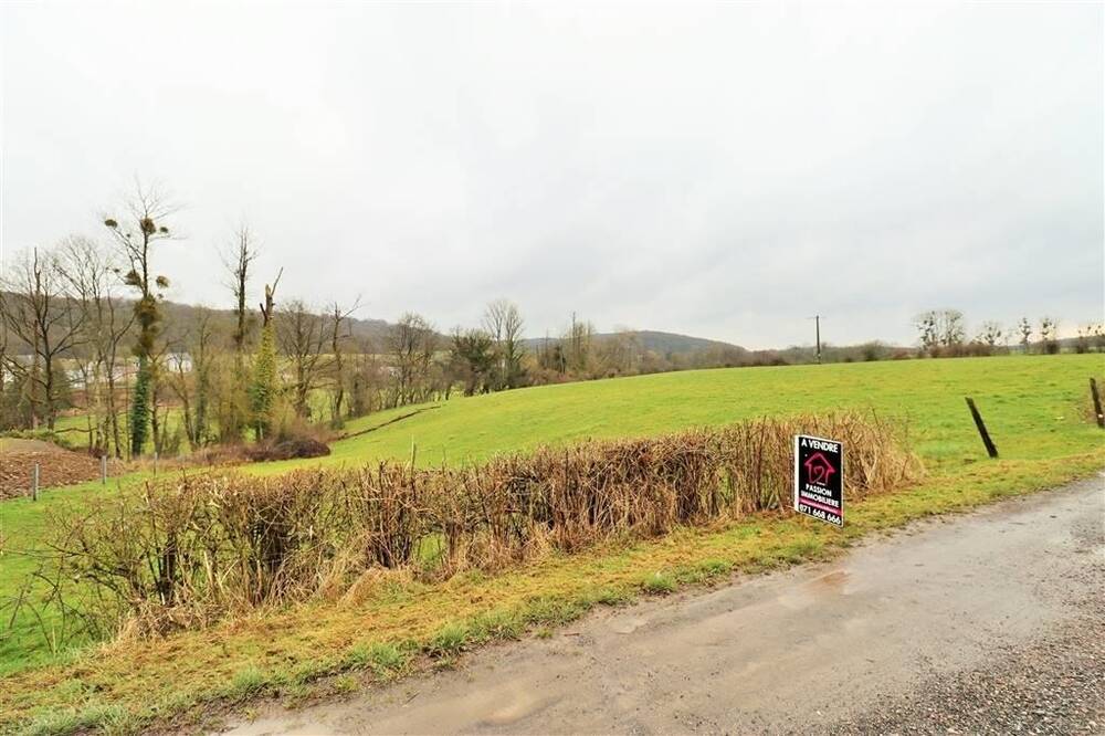 Terrain à vendre à Sautour 5600 85000.00€ chambres m² - annonce 404979