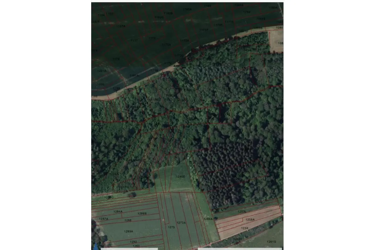 Terrain à vendre à Hulsonniaux 5560 34000.00€  chambres m² - annonce 406411