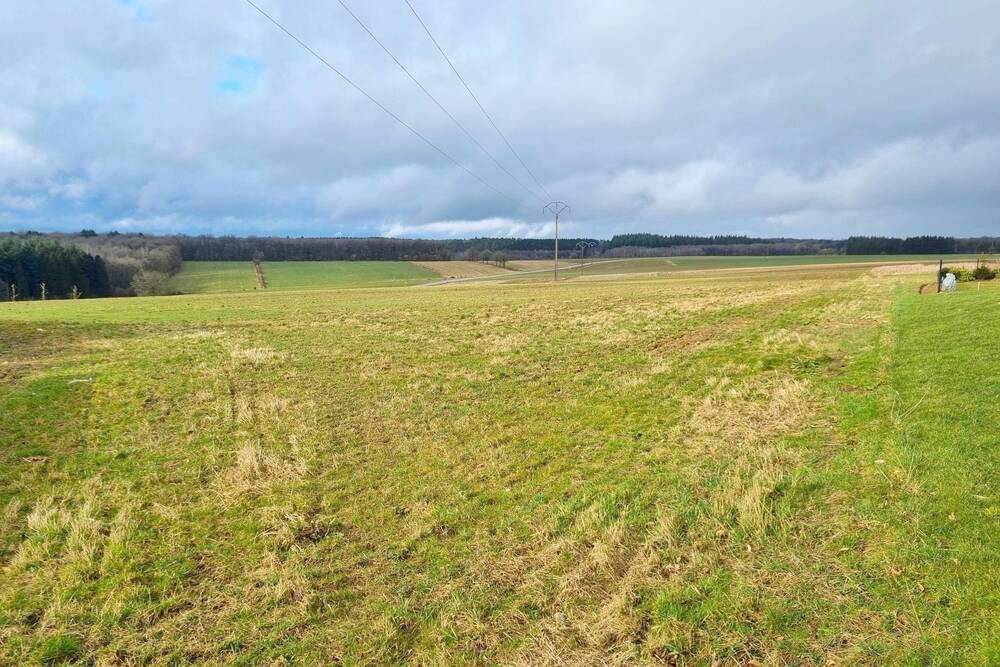 Terrain à vendre à Malvoisin 5575 67500.00€ chambres m² - annonce 411002