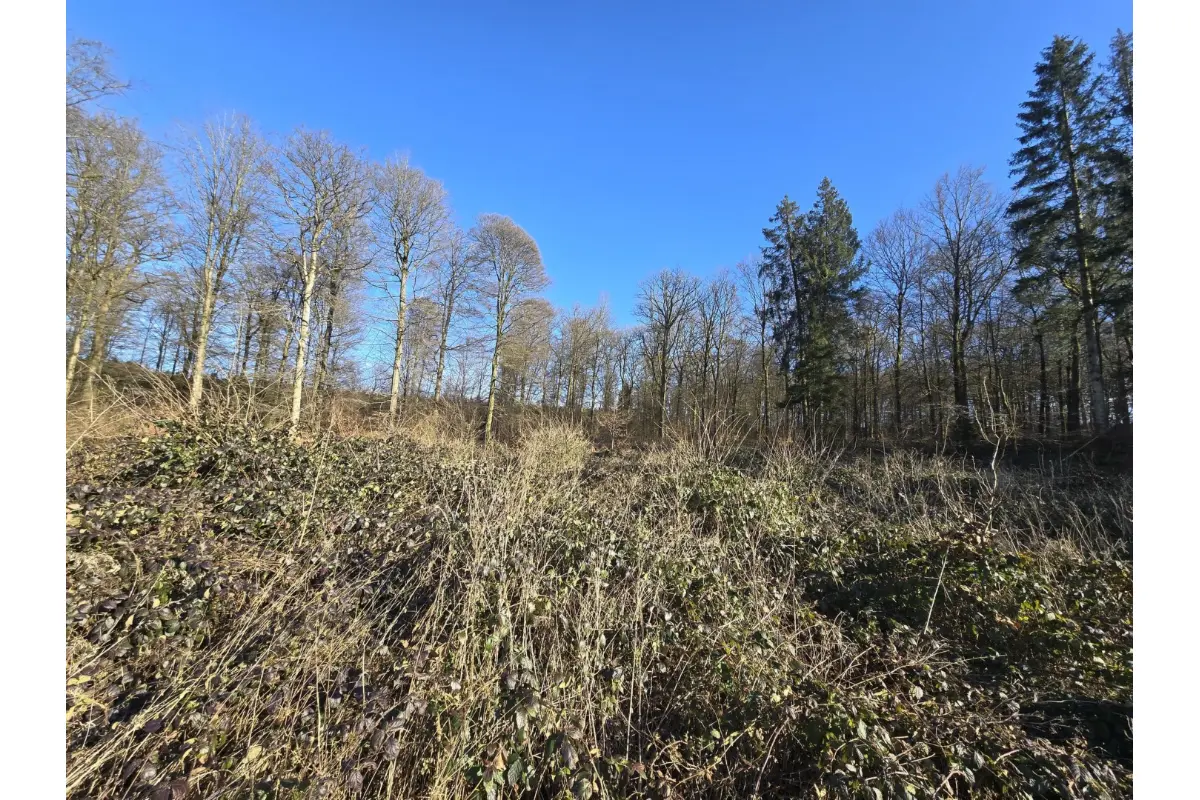 Terrain à vendre à Oizy 5555 15000.00€  chambres m² - annonce 409220