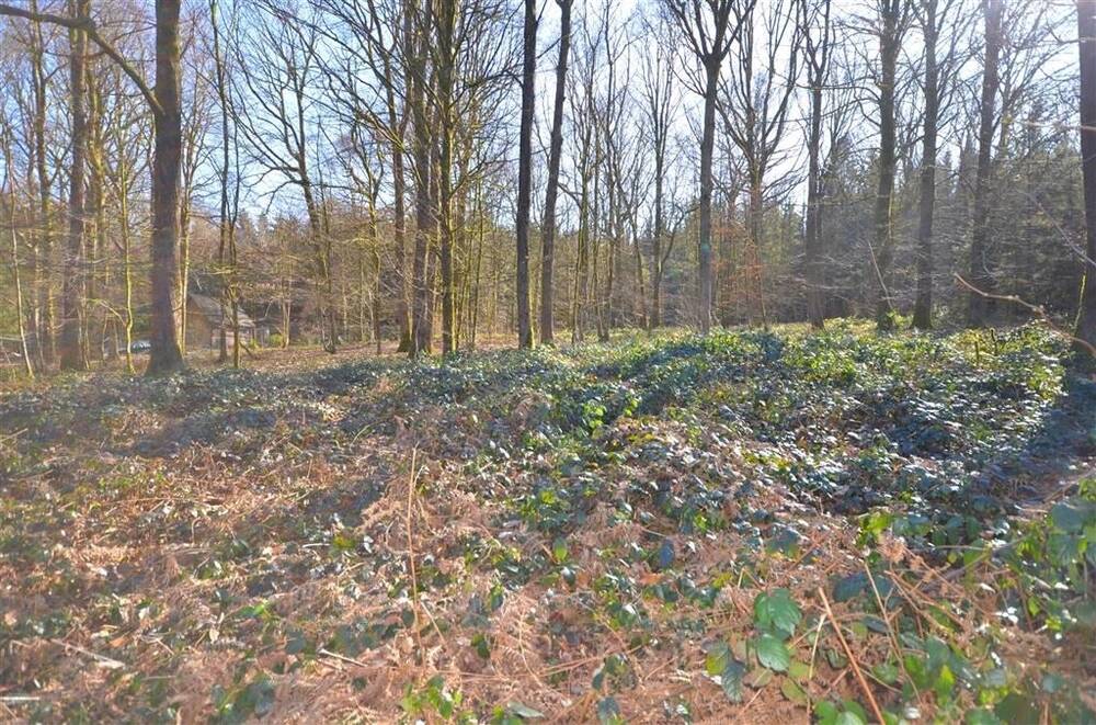 Terrain à vendre à Brûly-de-Pesche 5660 100000.00€ chambres m² - annonce 410174