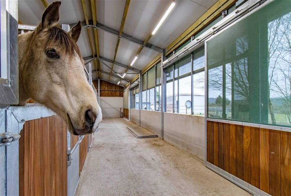 Maison à vendre à Ave-et-Auffe 5580 695000.00€ chambres m² - annonce 435993