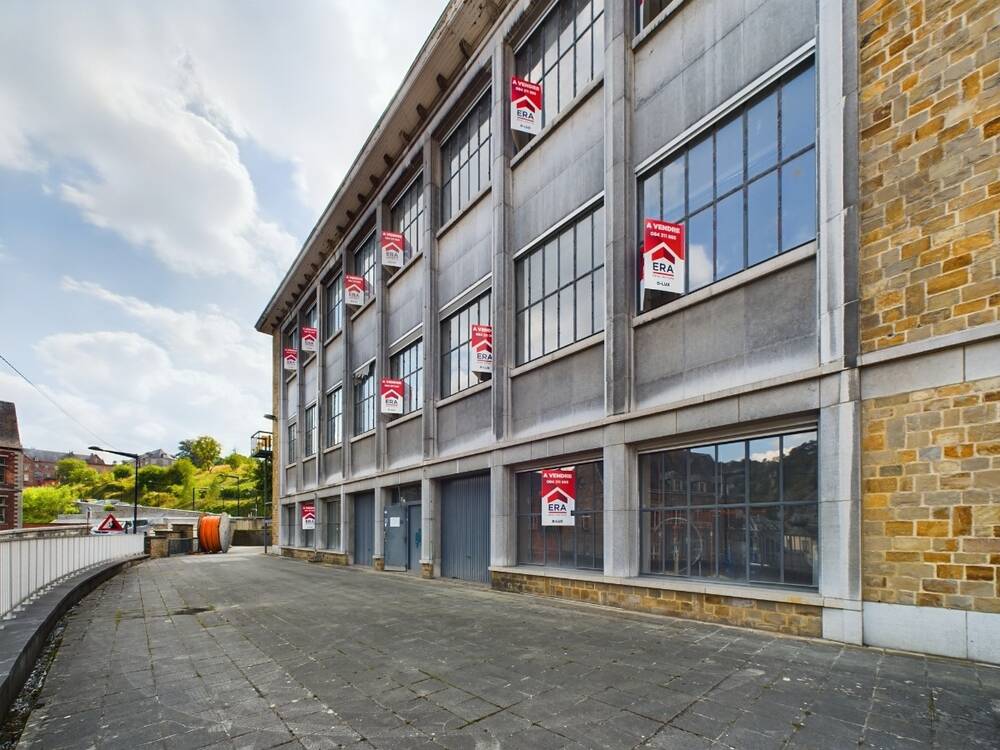 Autre à vendre à Dinant 5500 500000.00€ 10 chambres 2390.70m² - annonce 463175