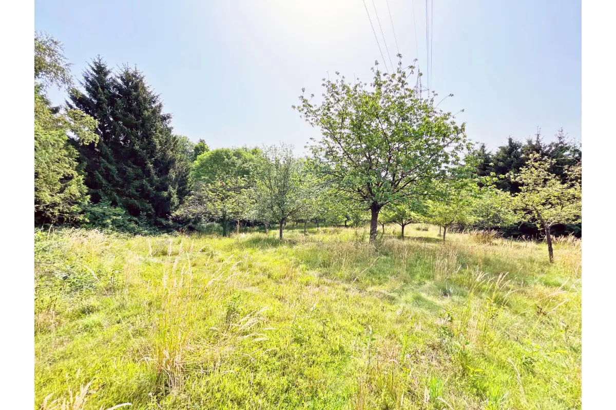 Terrain à  à Rochefort 5580 80000.00€  chambres m² - annonce 465611