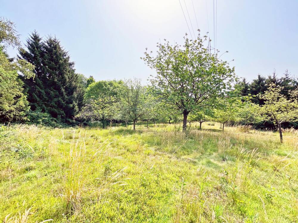 Terrain à vendre à Rochefort 5580 80000.00€ chambres m² - annonce 465611