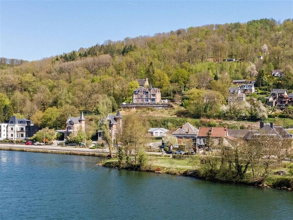 Maison à vendre à Yvoir 5530 695000.00€ 22 chambres 800.00m² - annonce 466952