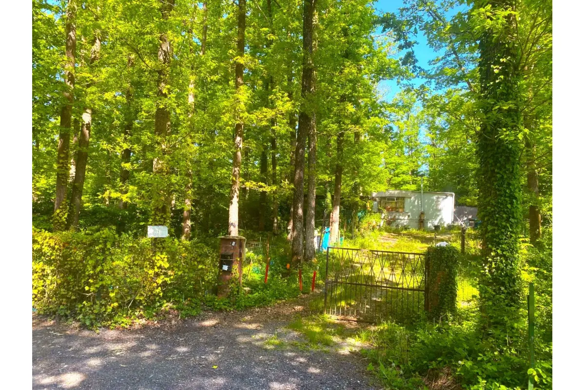 Terrain à bâtir à vendre à Neuville 5600 27500.00€  chambres m² - annonce 471428