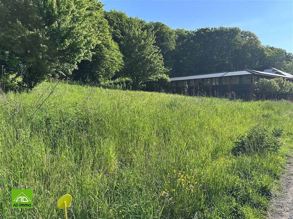 Terrain à bâtir à à Namur 5000 165000.00€ chambres m² - annonce 473117