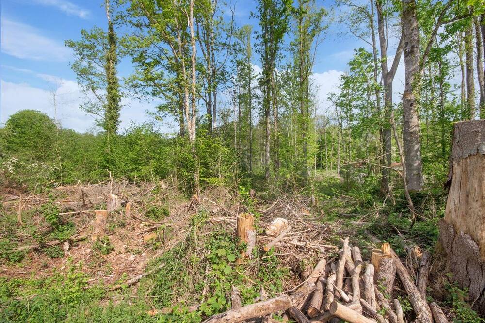 Terrain à vendre à Roly 5600 80000.00€ chambres m² - annonce 474311