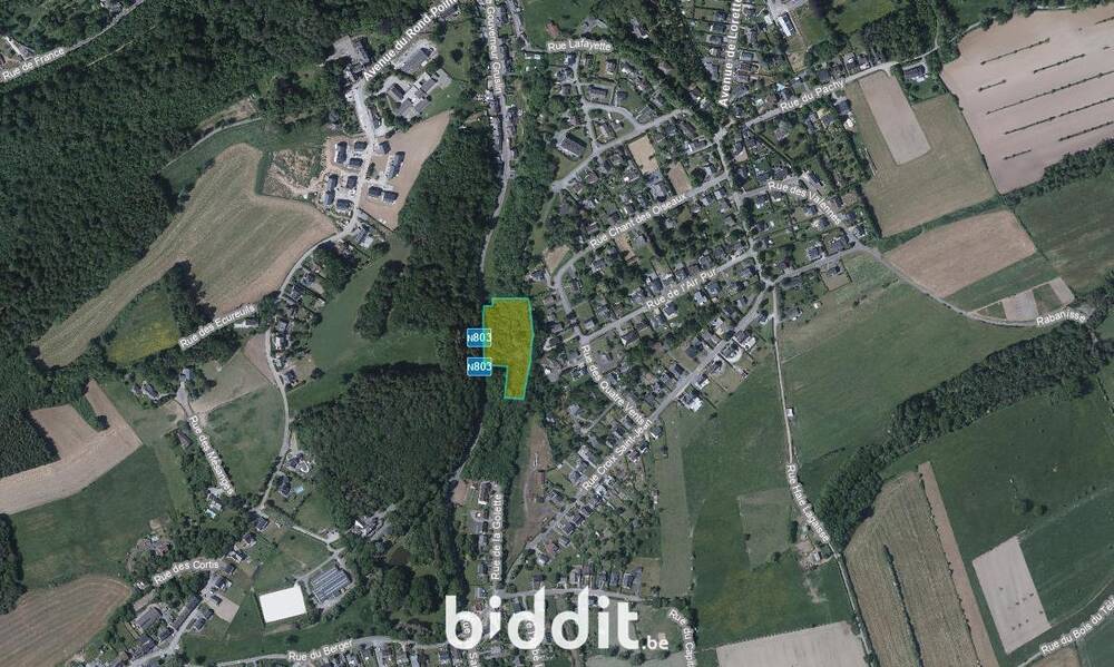 Terrain à vendre à Rochefort 5580 150000.00€ chambres m² - annonce 475543