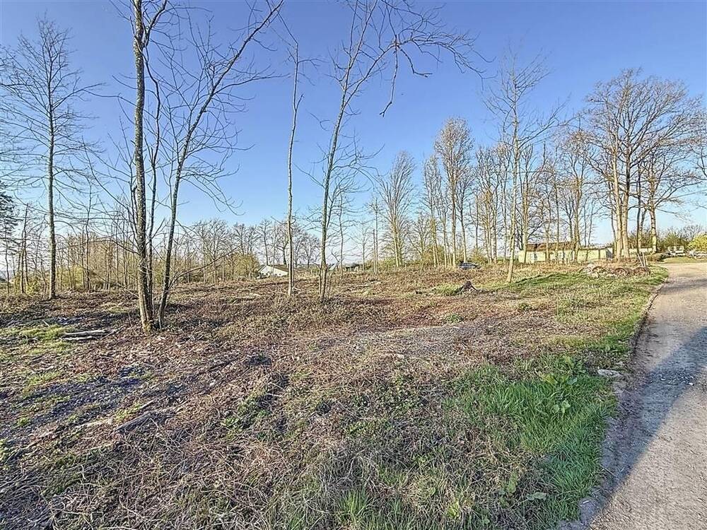Terrain à vendre à Florennes 5620 70000.00€ chambres m² - annonce 477831
