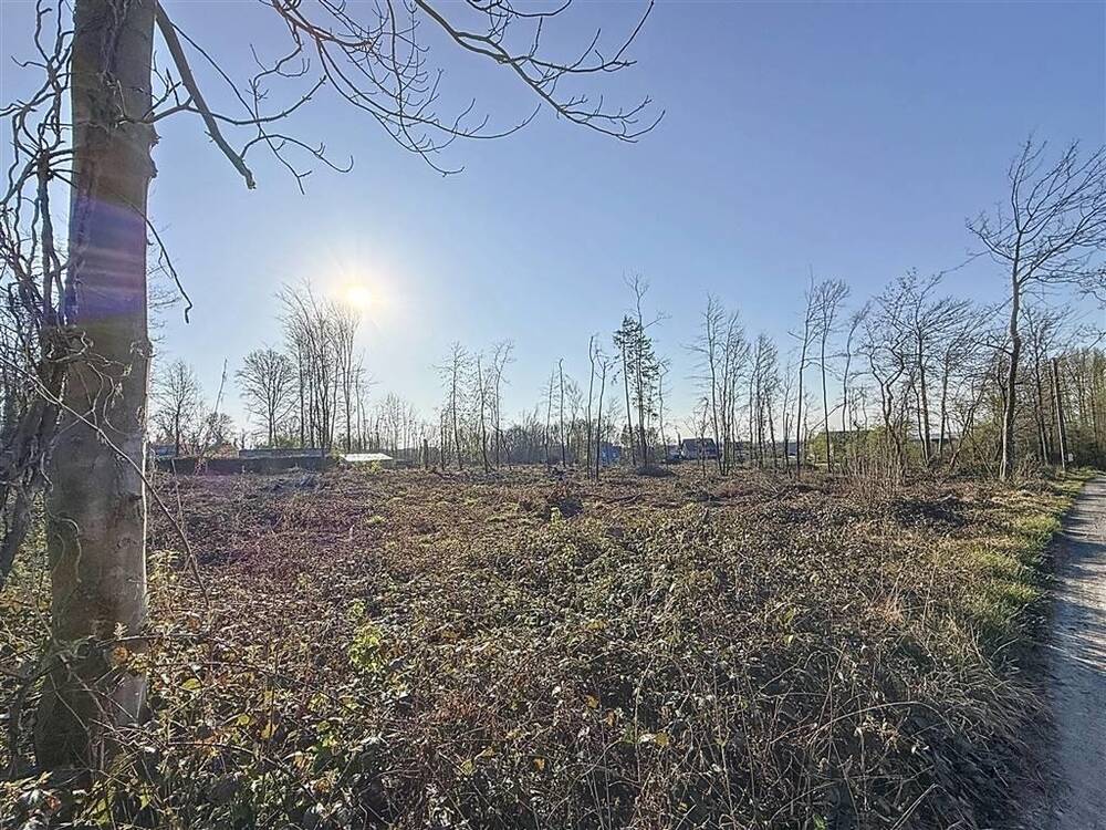 Terrain à vendre à Florennes 5620 65000.00€ chambres m² - annonce 477832