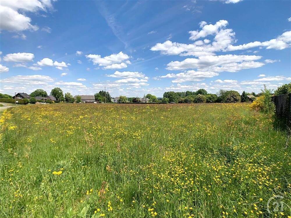 Terrain à vendre à Cul-des-Sarts 5660 300000.00€ chambres m² - annonce 485406