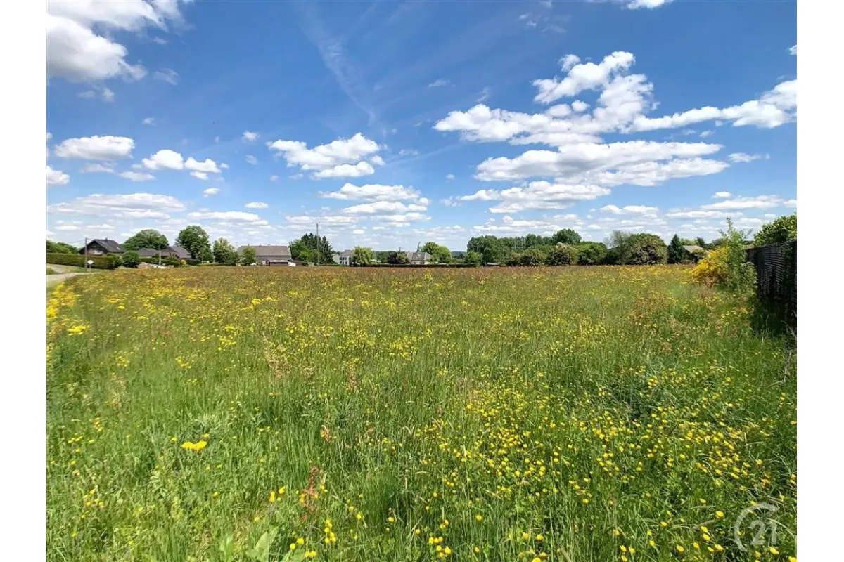 Terrain à vendre à Cul-des-Sarts 5660 215000.00€  chambres m² - annonce 485406
