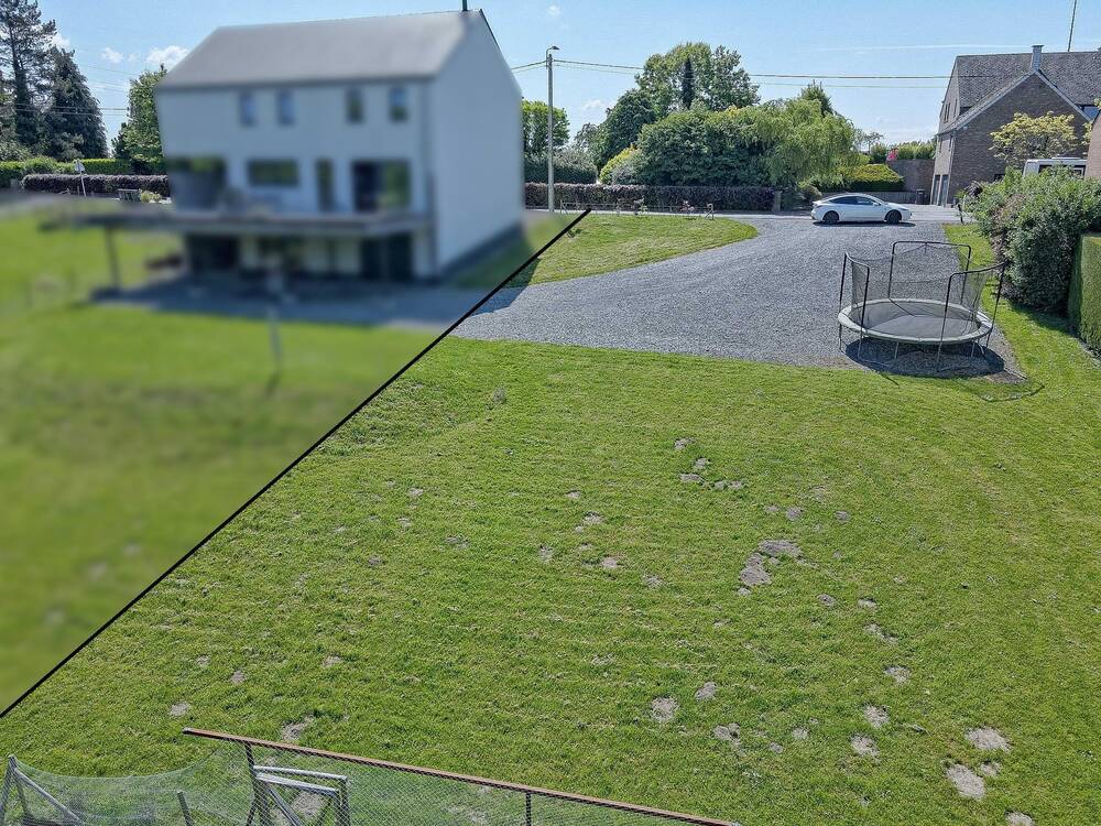 Terrain à vendre à Onhaye 5520 60000.00€ chambres m² - annonce 489351