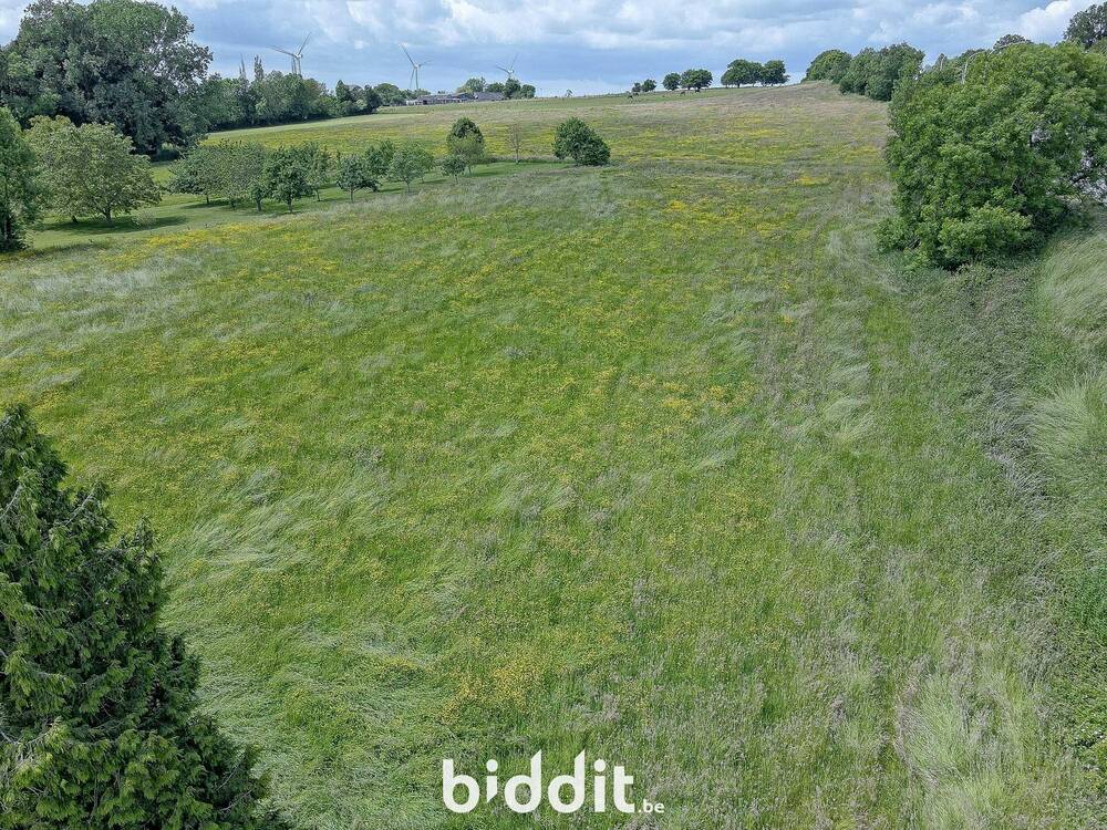 Terrain à vendre à Assesse 5330 130000.00€ chambres m² - annonce 491128