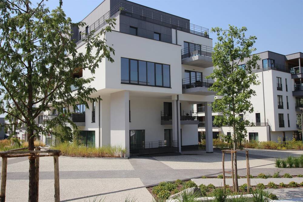 Appartement à louer à Jambes 5100 1250.00€ 3 chambres 107.00m² - annonce 503847
