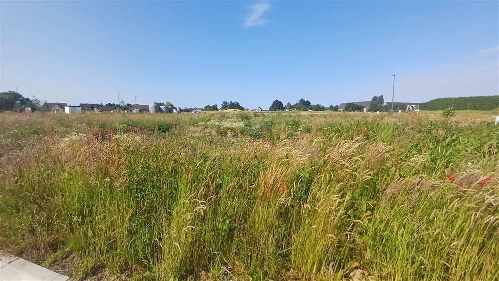 Terrain à vendre à Eghezée 5310 169000.00€ chambres m² - annonce 502561