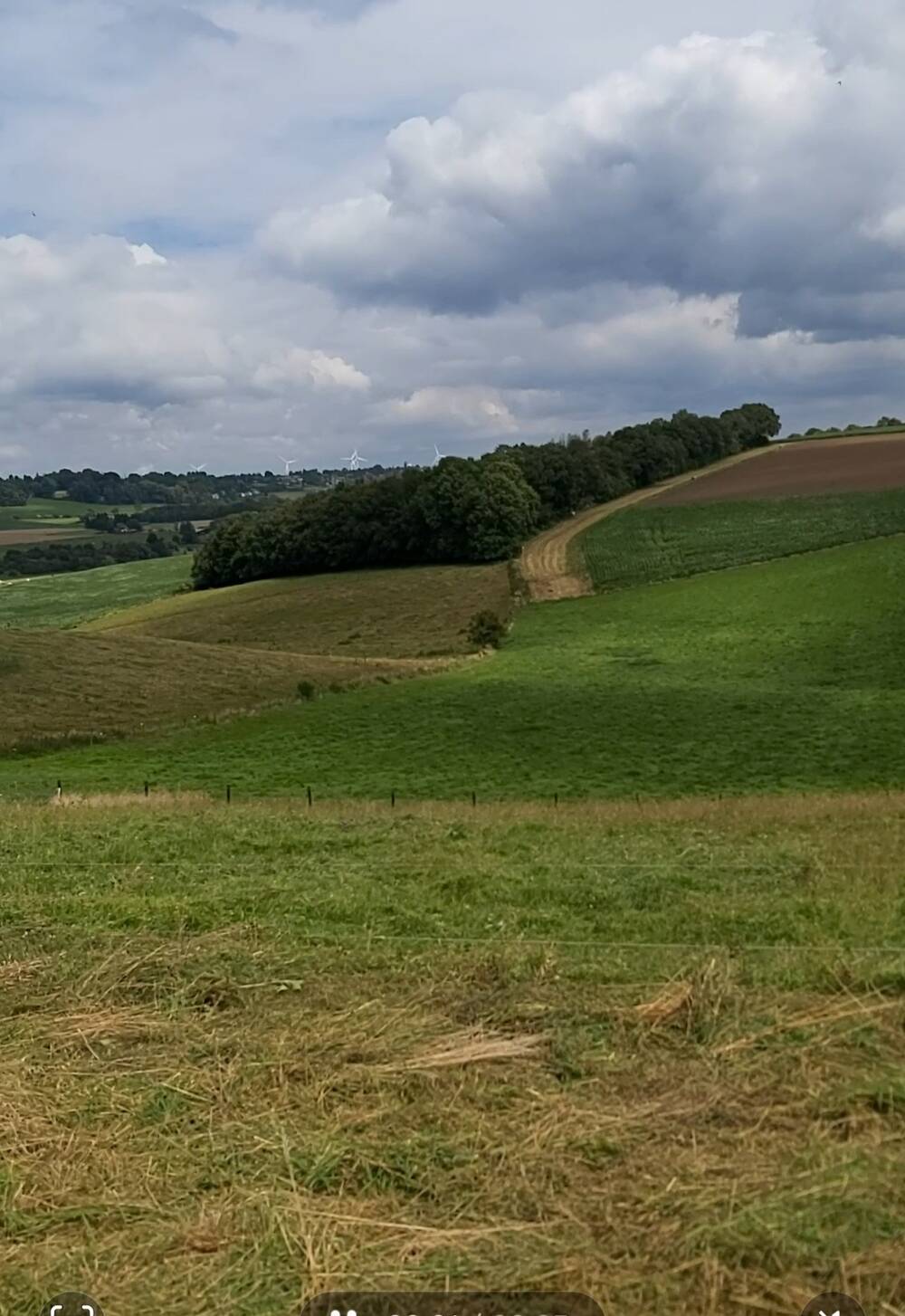 Terrain à vendre à Goesnes 5353 75000.00€ chambres m² - annonce 502649
