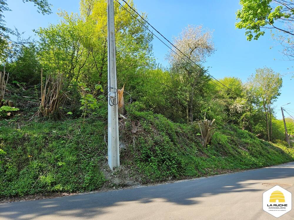 Terrain à vendre à Thy-le-Château 5651 30000.00€ chambres m² - annonce 500540