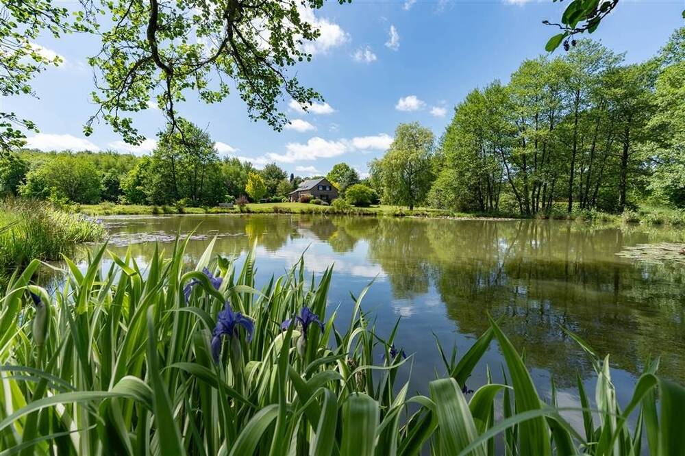 Maison à vendre à Graide 5555 469000.00€ 3 chambres 253.00m² - annonce 500497