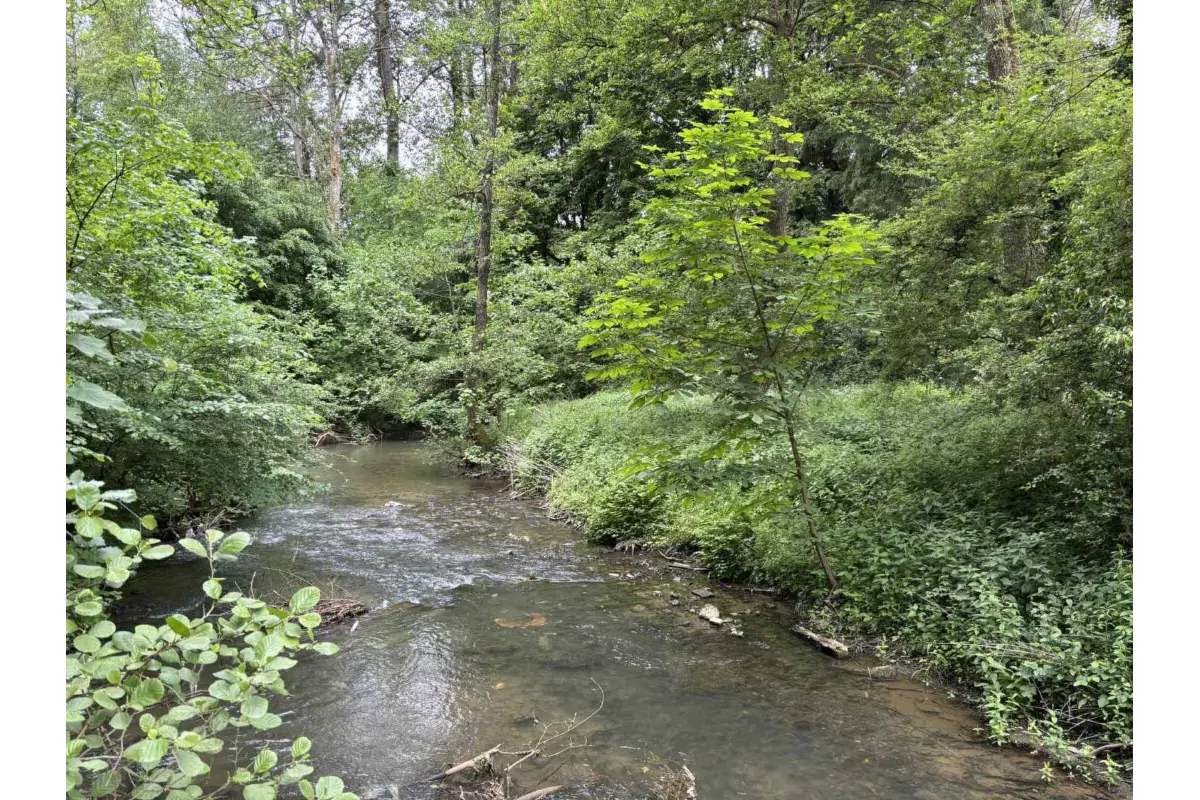 Terrain à vendre à Yves-Gomezée 5650 45000.00€  chambres m² - annonce 508413