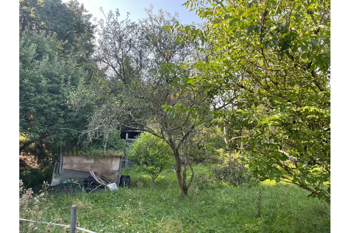 Terrain à vendre à Agimont 5544 55000.00€  chambres m² - annonce 519836