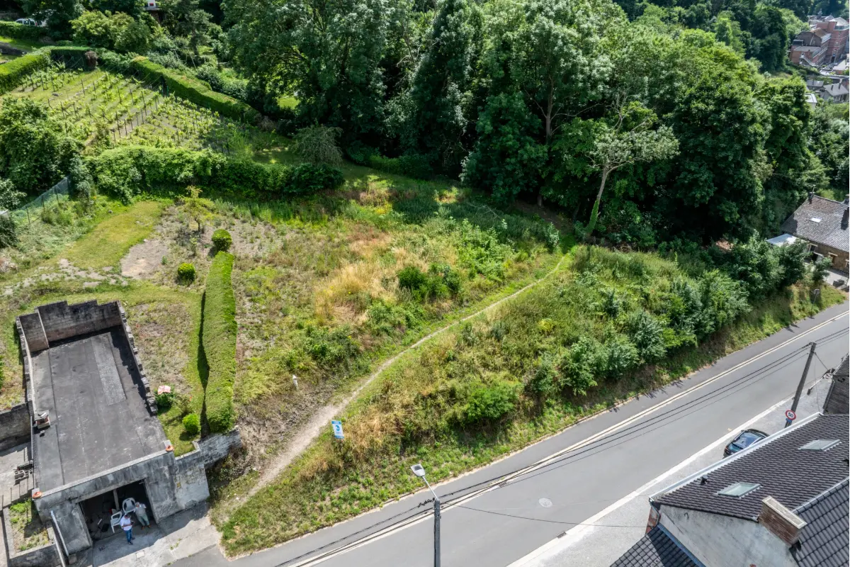 Terrain à vendre à Champion 5020 95000.00€  chambres m² - annonce 521048