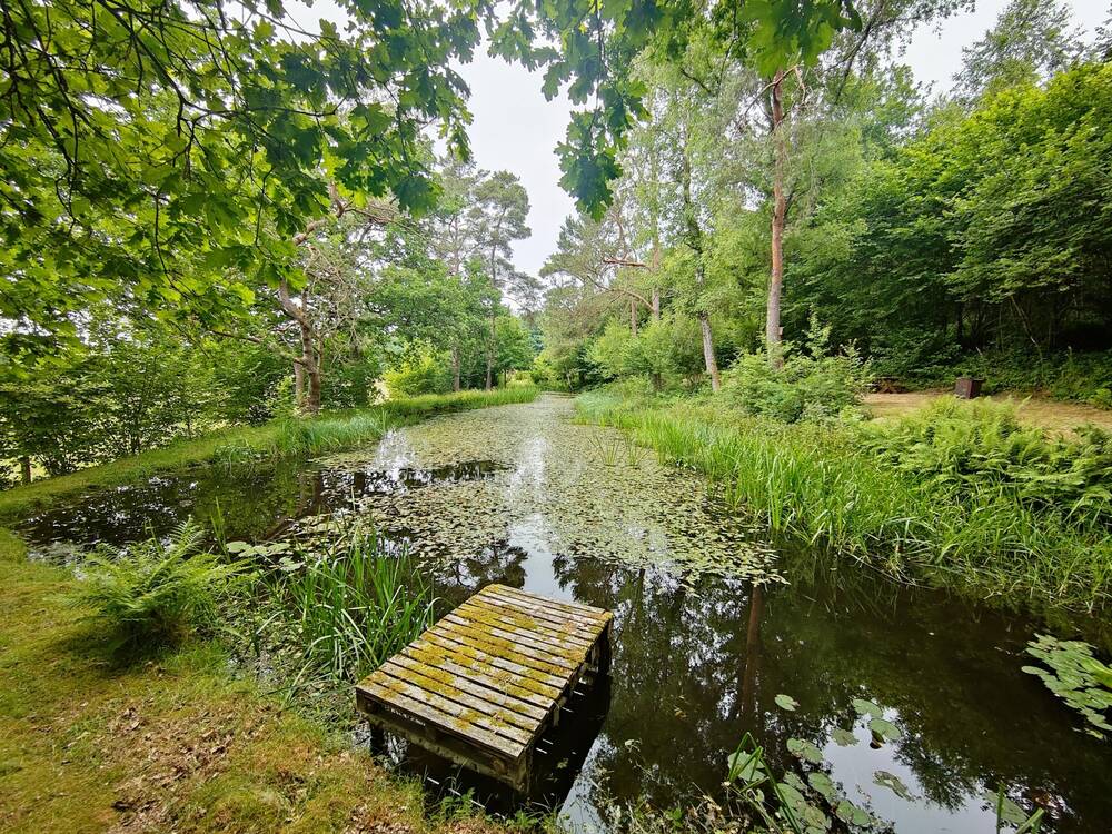 Terrain à vendre à Gedinne 5575 68000.00€  chambres m² - annonce 521717
