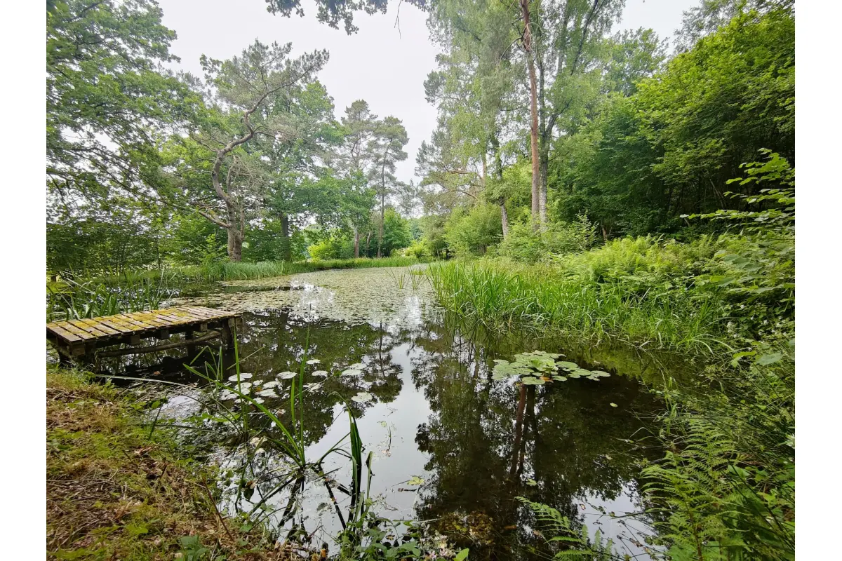 Terrain à vendre à Gedinne 5575 68000.00€  chambres m² - annonce 521717