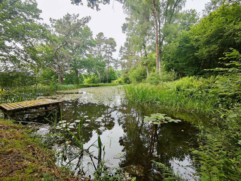 Terrain à vendre à Gedinne 5575 68000.00€ chambres m² - annonce 521717