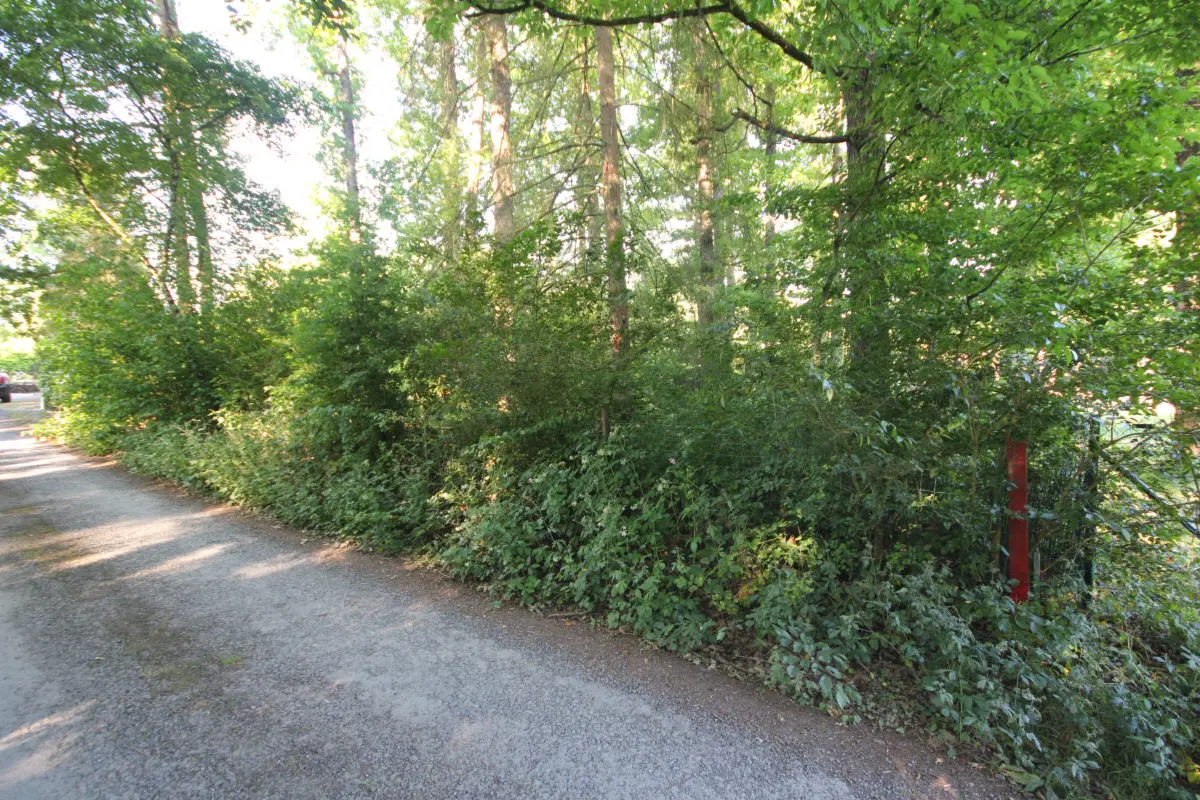 Terrain à vendre à Roly 5600 38000.00€  chambres m² - annonce 521856