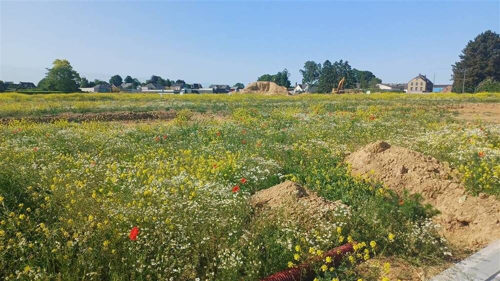 Terrain à bâtir à vendre à Eghezée 5310 159000.00€ chambres m² - annonce 527321