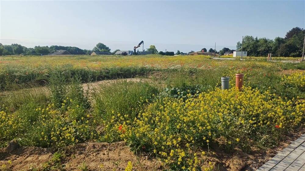 Terrain à bâtir à vendre à Eghezée 5310 185000.00€ chambres m² - annonce 527325