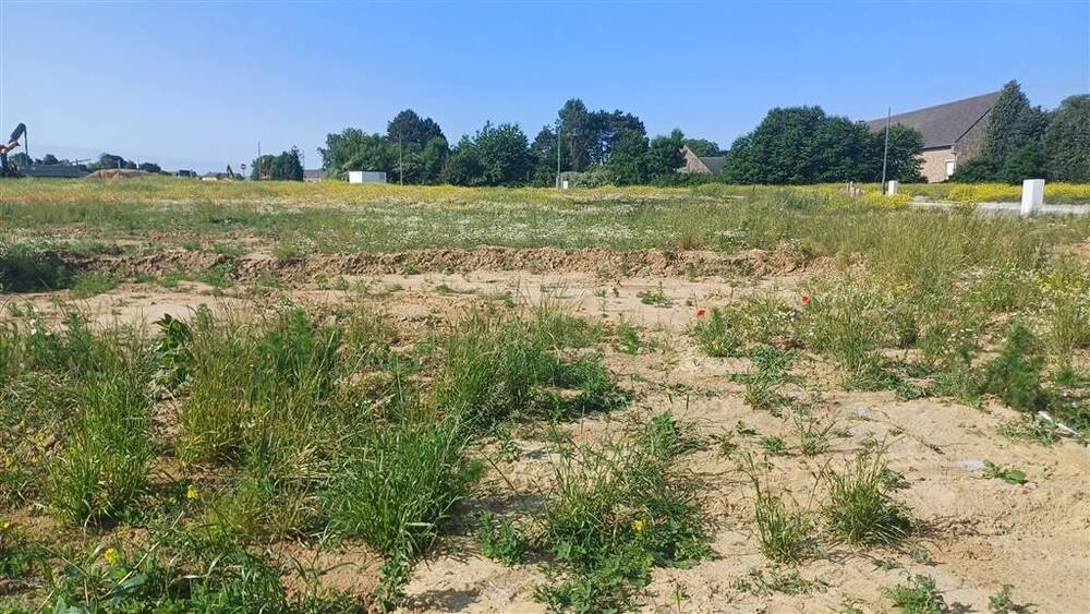 Terrain à bâtir à vendre à Eghezée 5310 185000.00€ chambres m² - annonce 527331