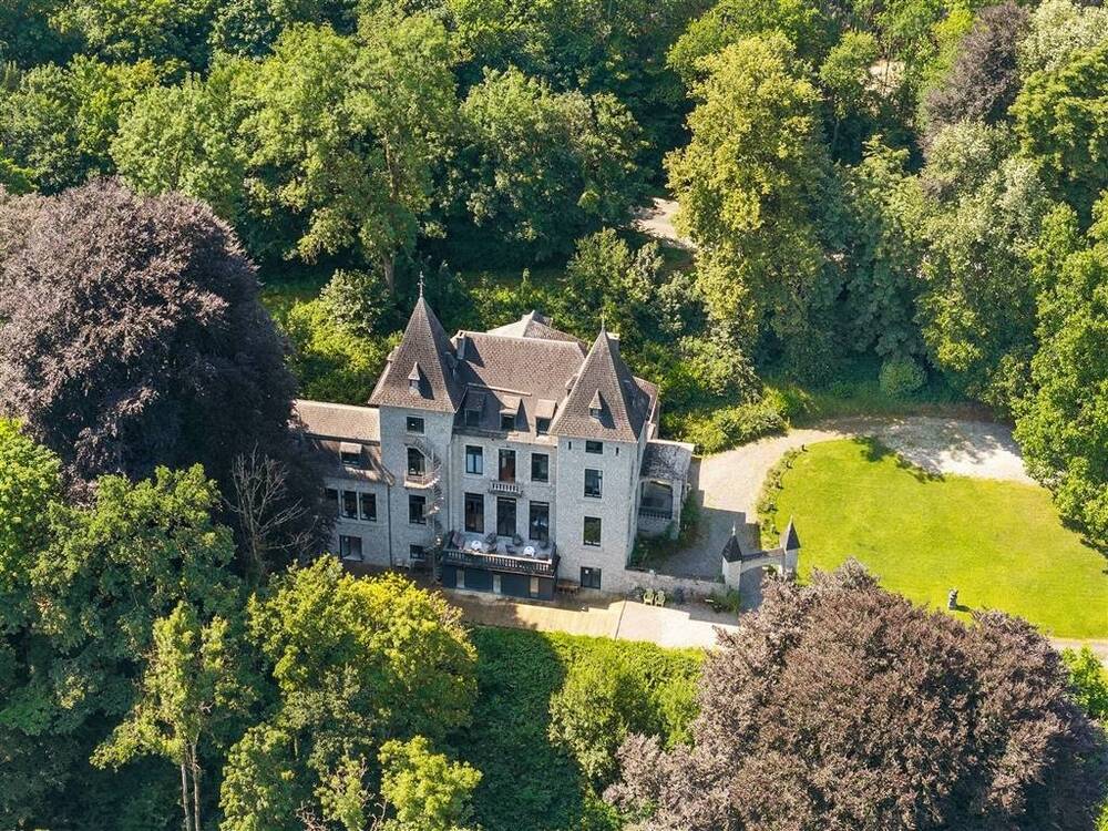 Maison de maître à vendre à Dinant 5500 1650000.00€ 12 chambres 868.00m² - annonce 529690