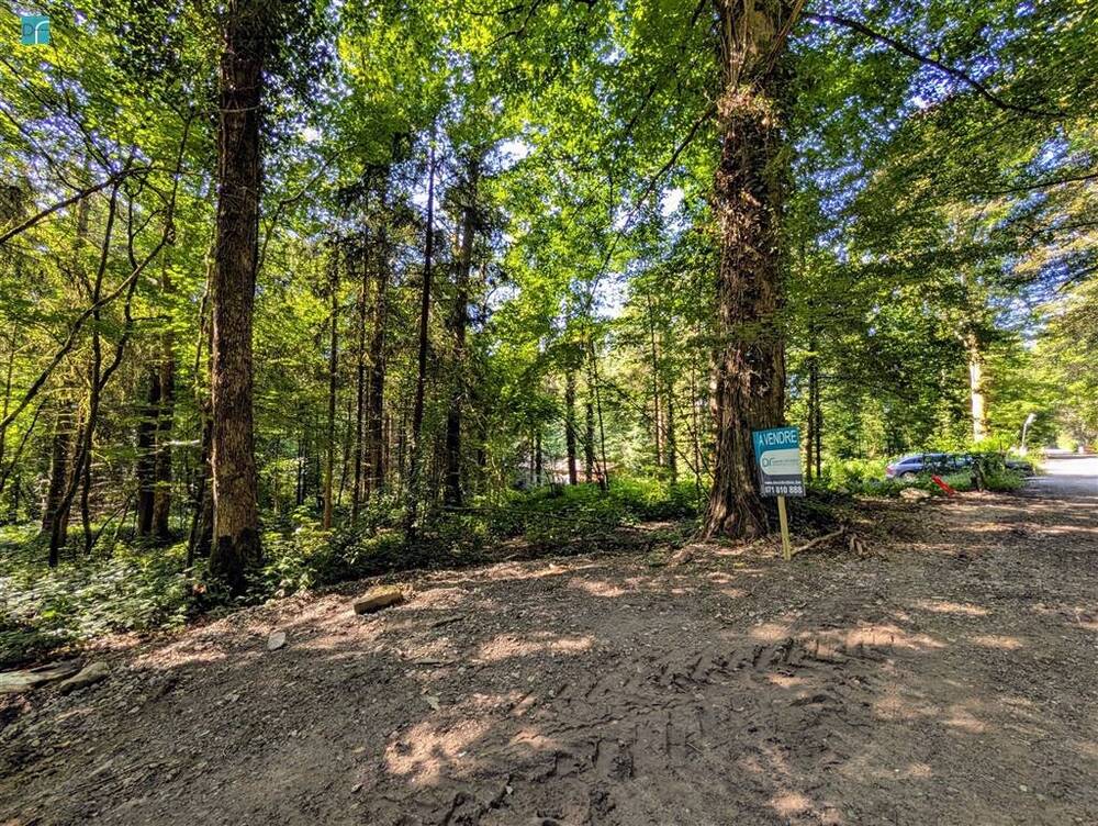 Terrain à vendre à Cerfontaine 5630 89000.00€ chambres m² - annonce 531158