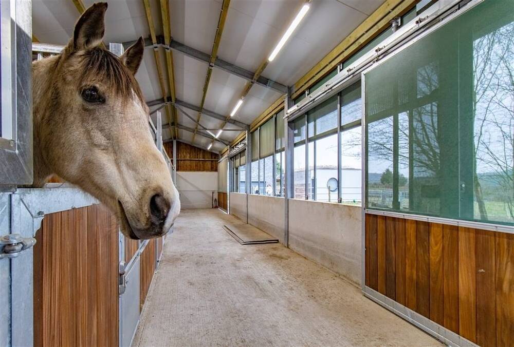 Immeuble de rapport - Immeuble à appartement à vendre à Ave-et-Auffe 5580 399000.00€  chambres m² - annonce 536642