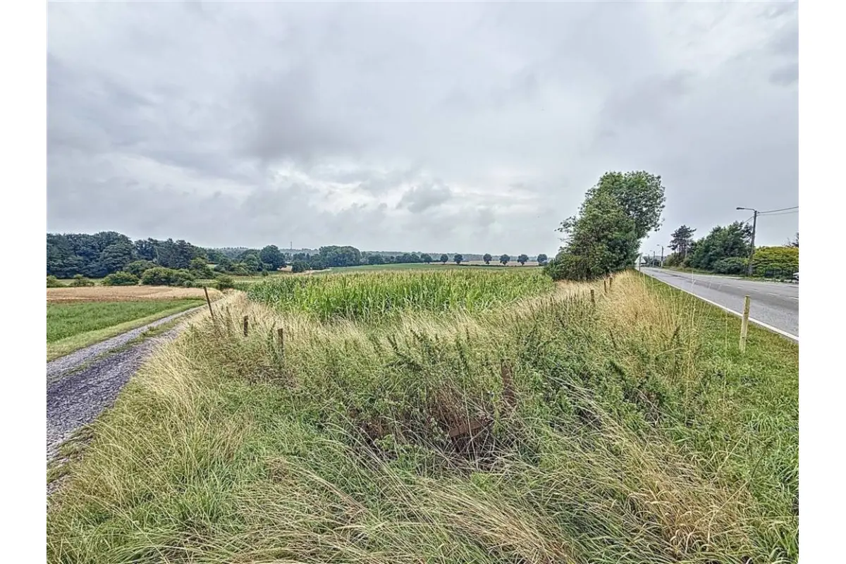 Terrain à vendre à Florennes 5620 99000.00€  chambres m² - annonce 540001