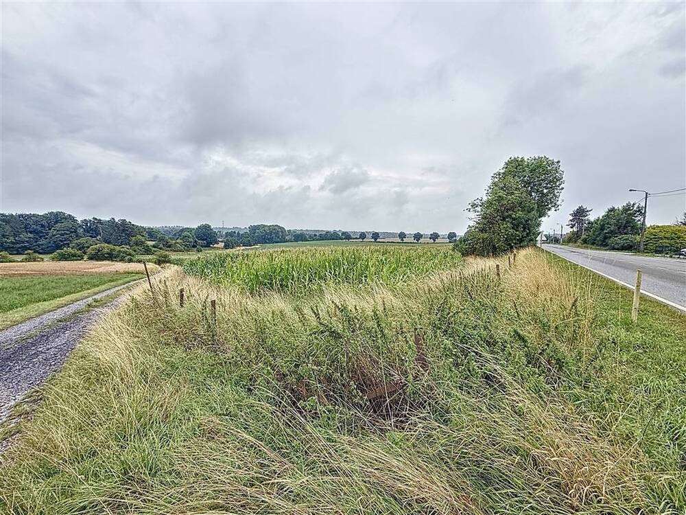 Terrain à vendre à Florennes 5620 99000.00€  chambres m² - annonce 540001