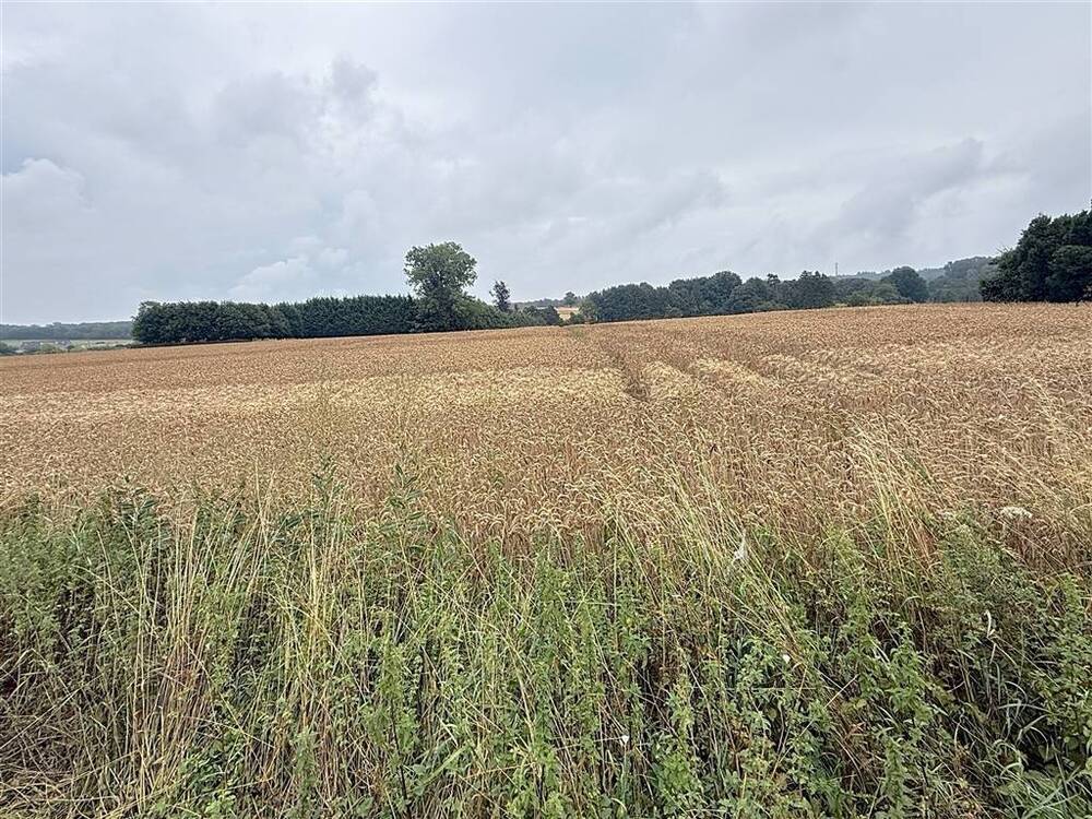 Terrain à vendre à Florennes 5620 75000.00€  chambres m² - annonce 540004