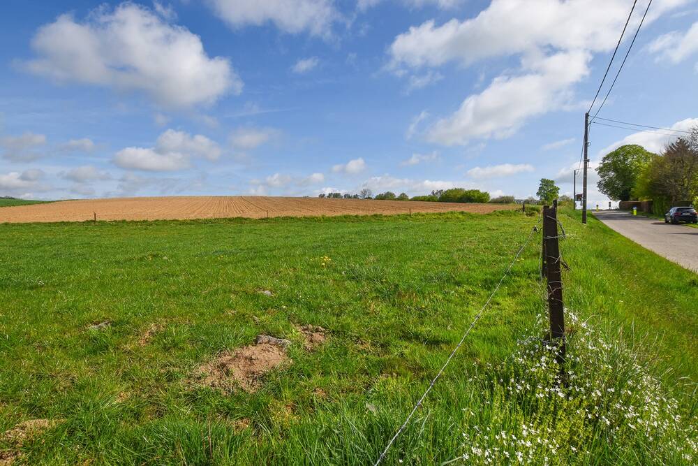 Terrain à vendre à Flavion 5620 95000.00€ chambres m² - annonce 542782