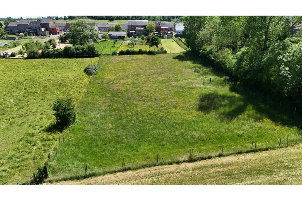 Terrain à bâtir à vendre à Romerée 5680 65000.00€  chambres m² - annonce 542440