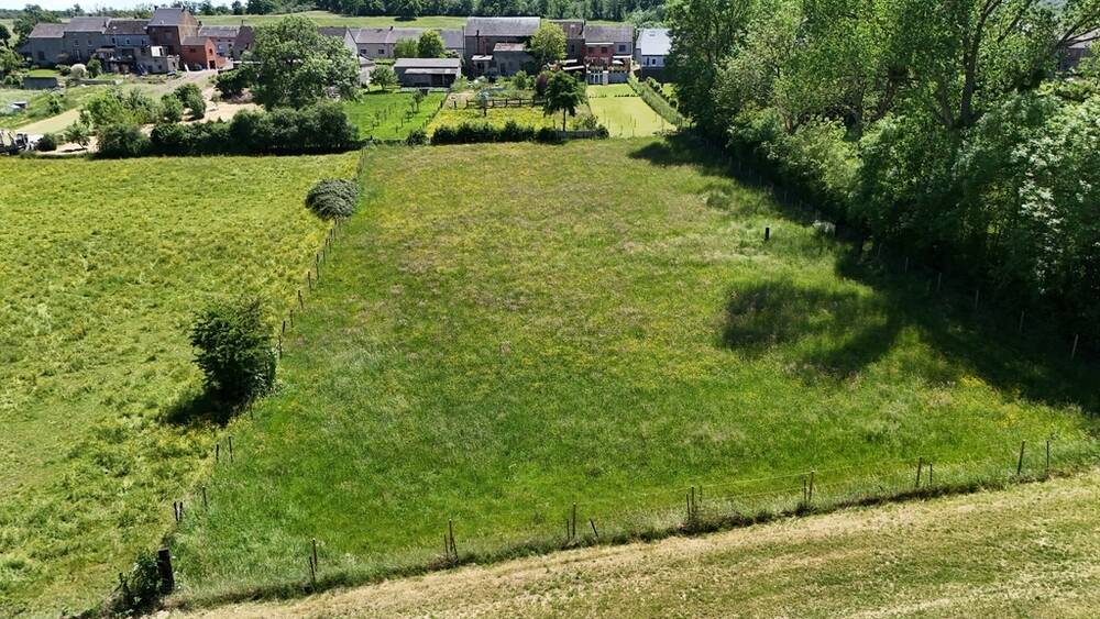Terrain à bâtir à vendre à Romerée 5680 65000.00€ chambres m² - annonce 542440