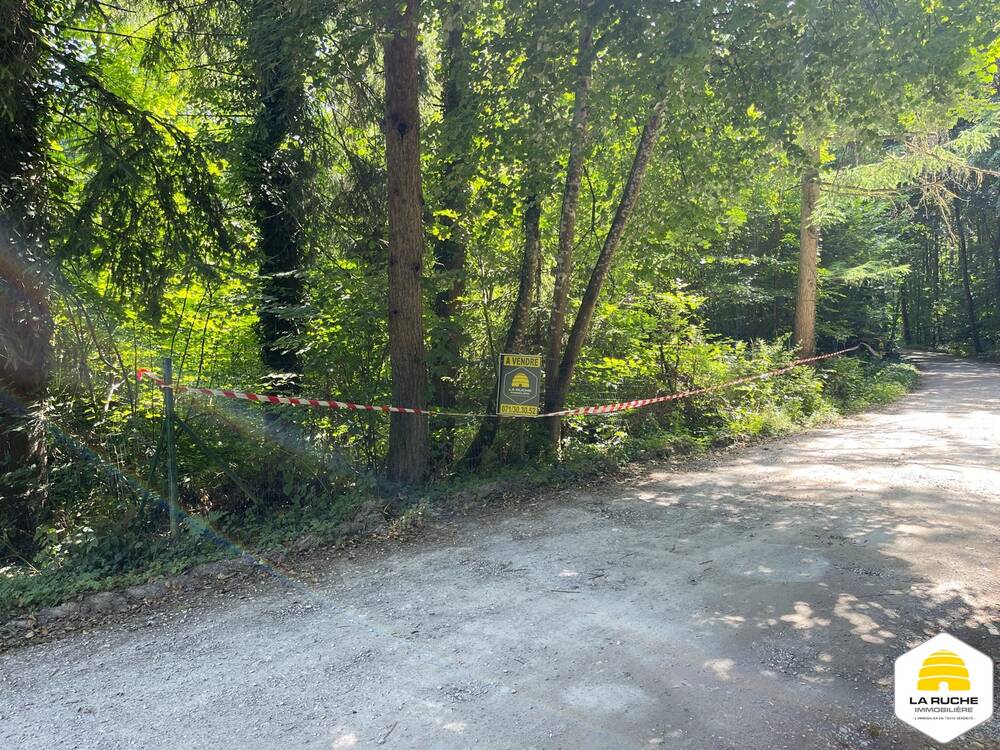Terrain à vendre à Yves-Gomezée 5650 35000.00€ chambres m² - annonce 543699