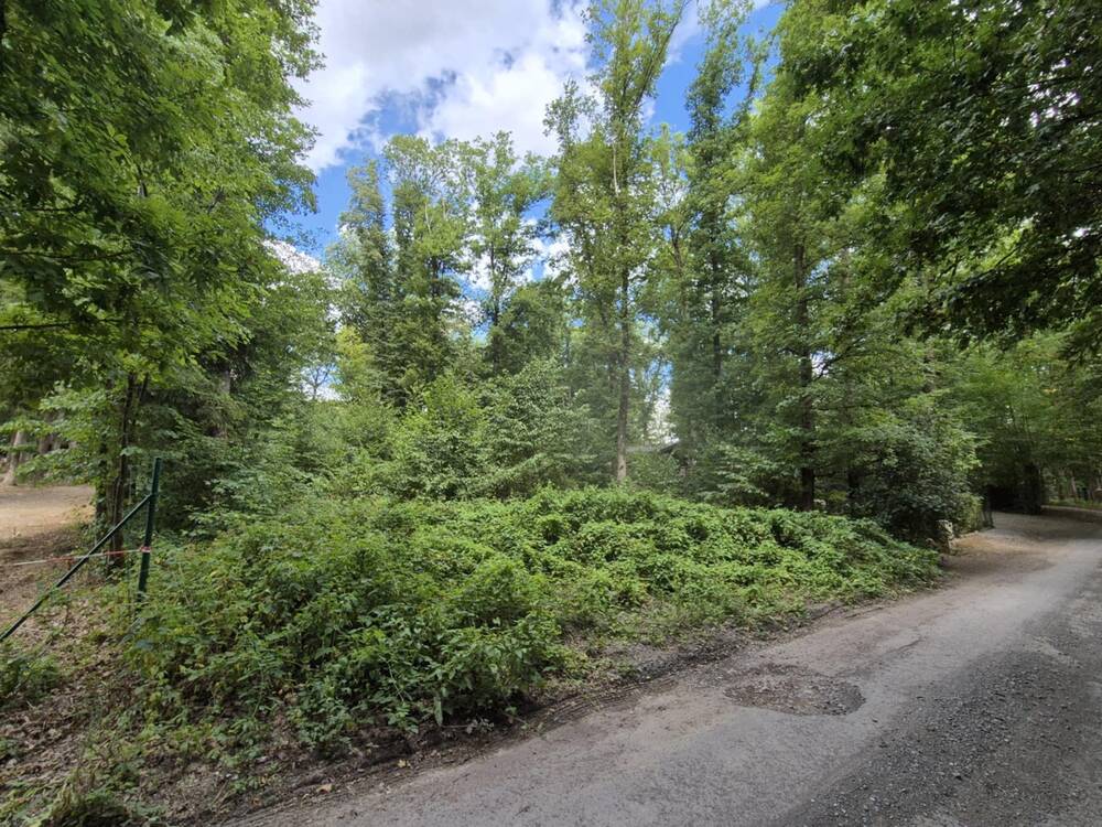 Terrain à vendre à Roly 5600 28000.00€ chambres m² - annonce 543776