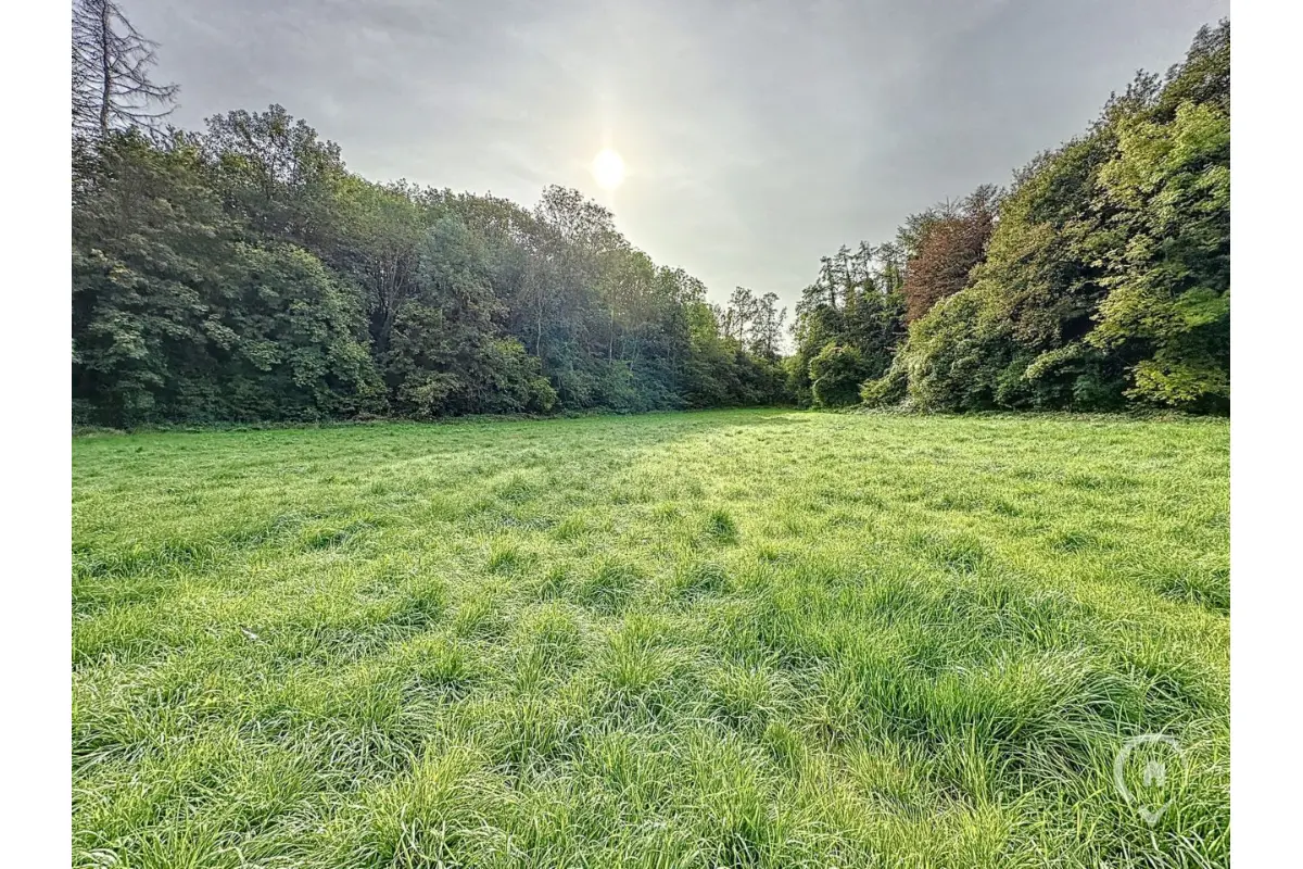 Terrain à vendre à Dion 5570 145000.00€  chambres m² - annonce 544959