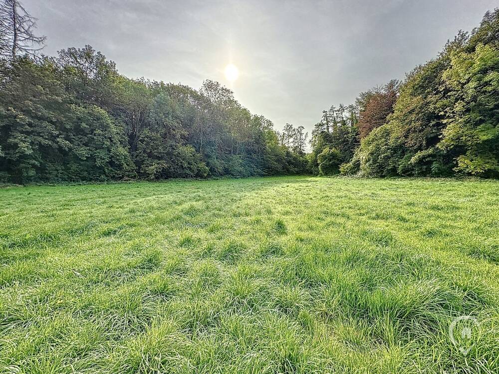 Terrain à vendre à Dion 5570 145000.00€  chambres m² - annonce 544959