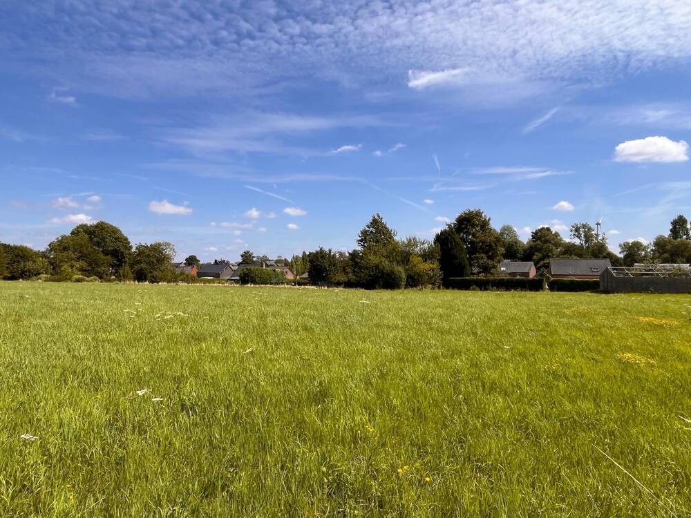 Terrain à vendre à Dhuy 5310 51500.00€  chambres m² - annonce 547177