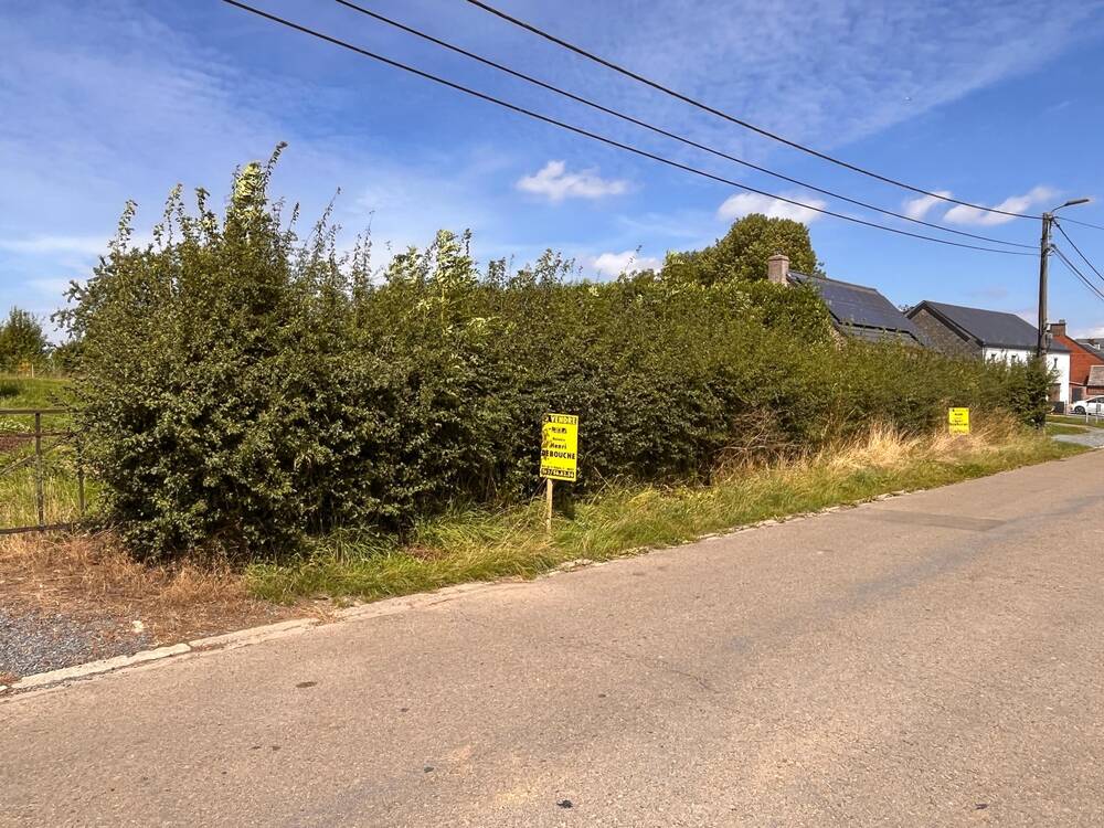 Terrain à vendre à Dhuy 5310 160000.00€  chambres m² - annonce 547207